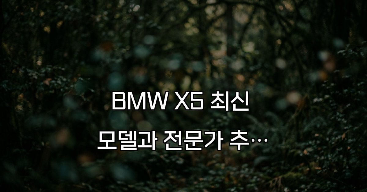 BMW X5 최신 모델과 전문가 추천 가이드